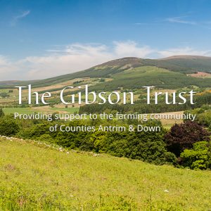 Web Design | The Gibson Trust