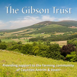 The Gibson Trust
